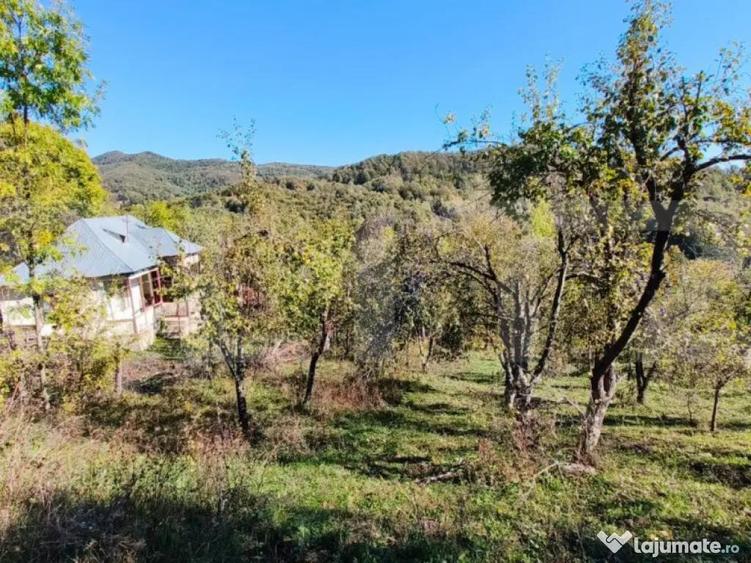 Teren cu priveli?te superba , livada ?i poten?ial casu? - 3