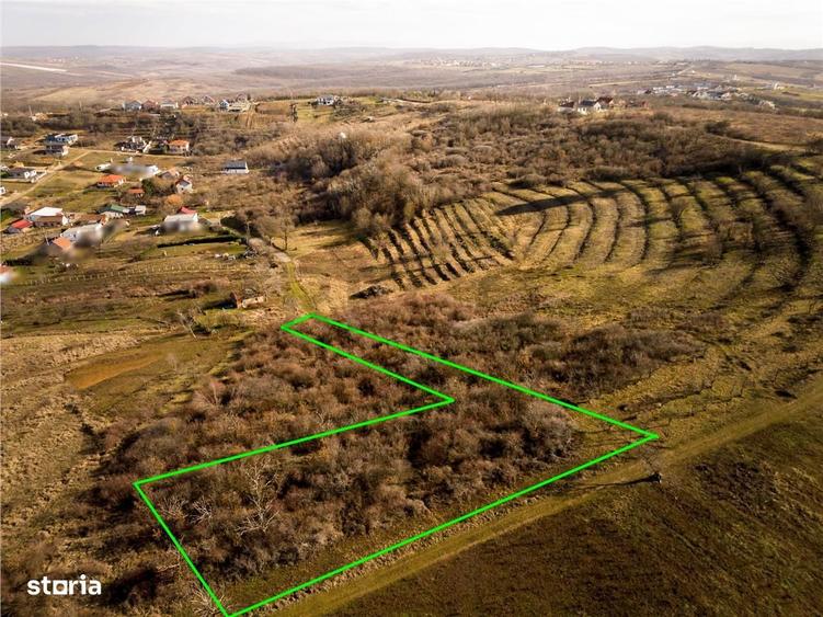 RECO Teren intravilan in zona Oncea - 5