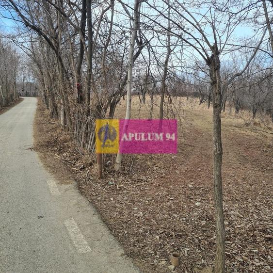 Teren intravilan de vanzare in Cornu de Jos - 7