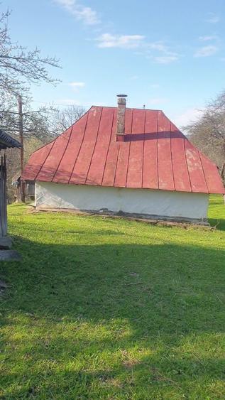 Casa 2 camere 4000 mp langa Vidradru 7 km 34 000 euro - 5