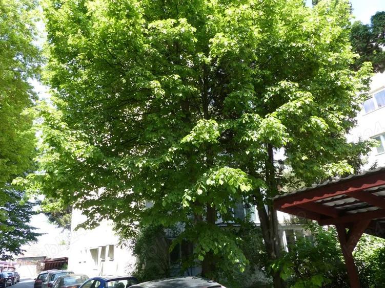 De vanzare apartament. 3 camere, Targu-Mures, Zona Budai - 10