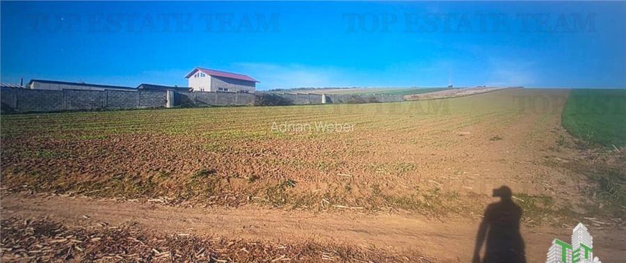 Teren extravilan de 5.000 mp, arabil, in imediata apropiere