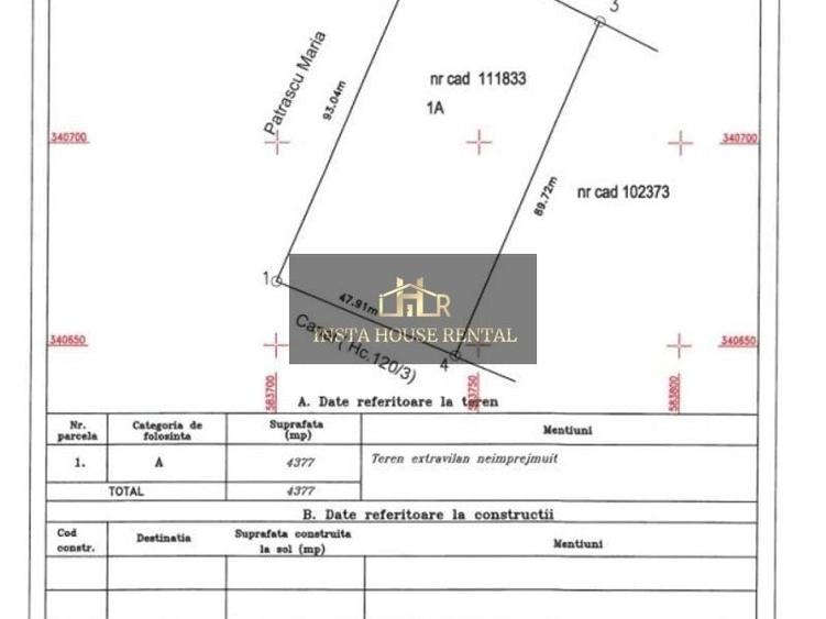 🔹Teren 10000 mp Odai / Otopeni /🔹 - 6