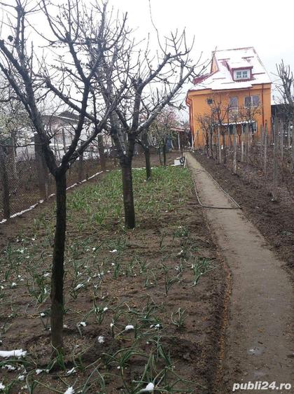 Vila P+1 in Craiova 250000 - 3