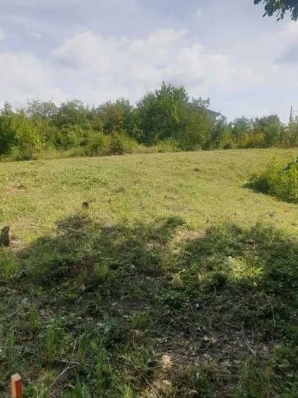 Vand teren intravilan la Seciu - 7