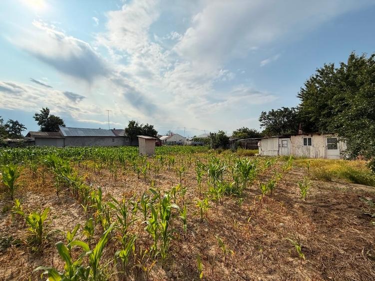 Casă 3 camere + anexe, teren 1700 mp, zona liniștită – Slobozia Ciorăști - 3