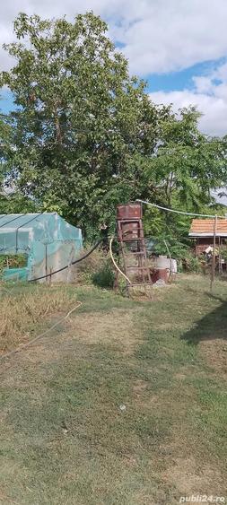 Casa la ?ara jud. Giurgiu, 4 camere, curte 4000 mp - 7