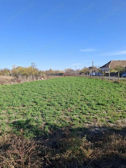 Vand casa in localitatea CIACOVA jud Timis - 1