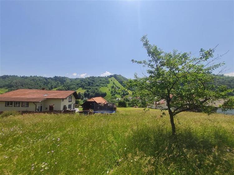 FILM! 1.450 mp intravilan, la DN, incantare peisagistica, Bran, Moieciu, Brasov - 11