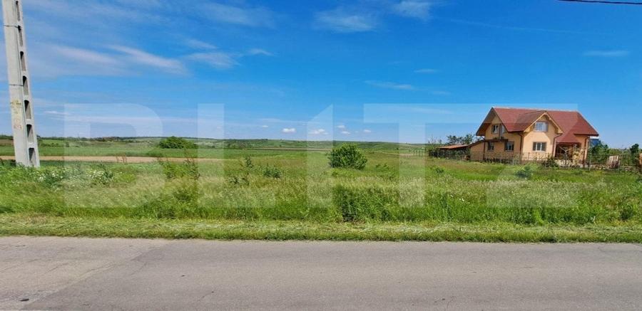 Oferta! 2000 mp teren intravilan, la strada principala, langa Pielesti! - 1