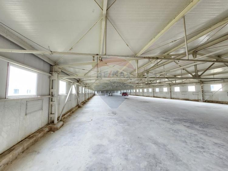Hala depozitare sau productie Ciorogarla | Darvari 2.8 E/mp - 3