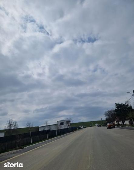 Teren intravilan Cornetu - 8