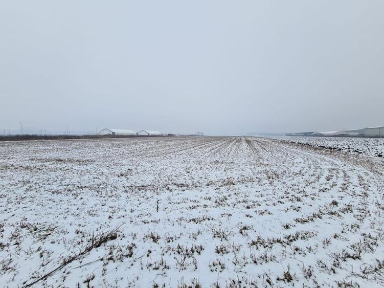 Teren industrial de vanzare in Stupini - 7