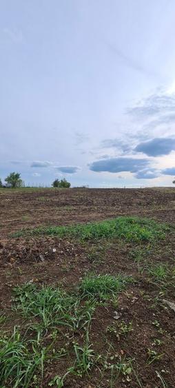 Teren 4700 intravilan de vanzare sau schimb cu garsoniera - 1