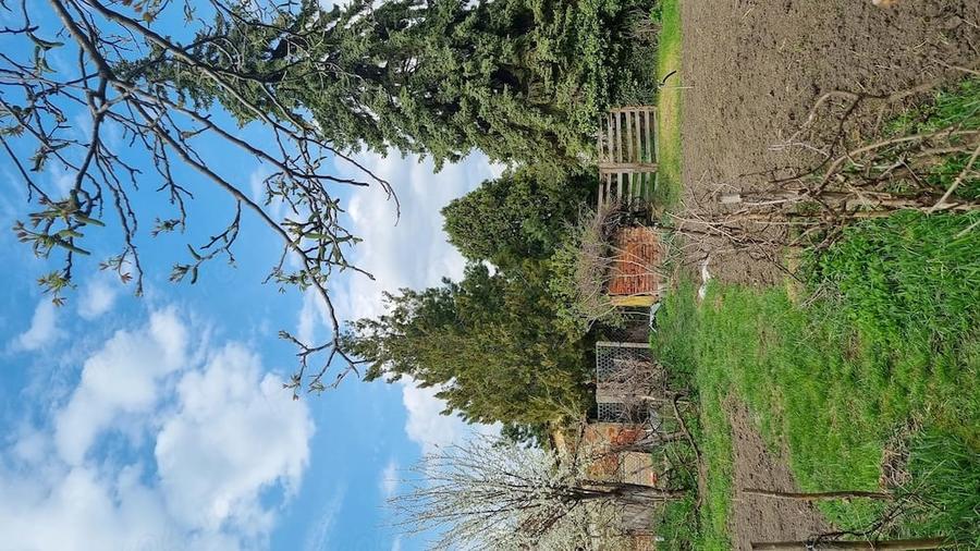 Casă cu 3 camere cu Teren 1150 Mp în Central