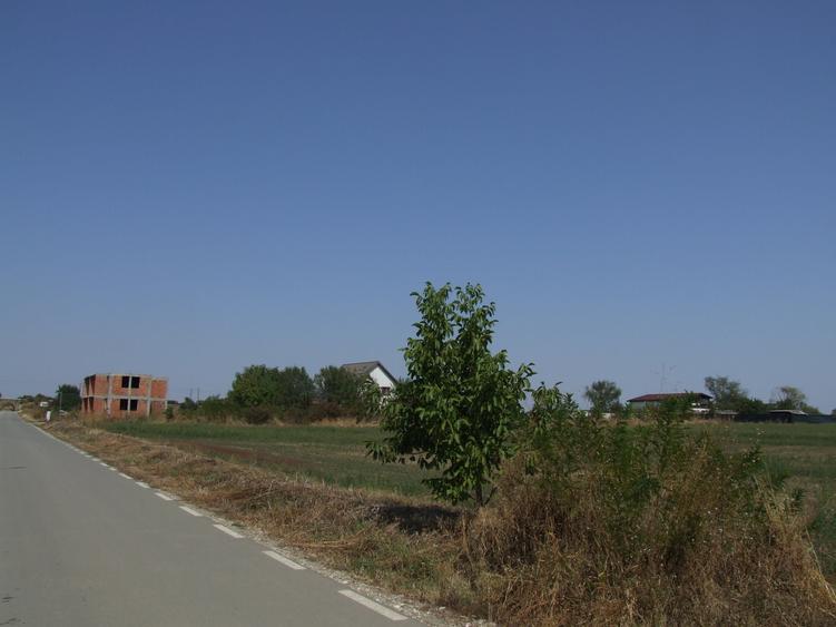 Domnesti-Salciei-stradal 6784 mp - 6