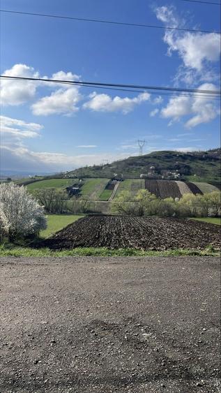 Vand teren intravilan - 1116 mp, Sibiu, zona Gusterita - 1