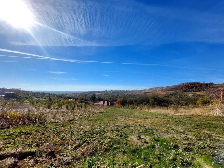 Teren intravilan in localitatea TOHANI PRAHOVA - 4