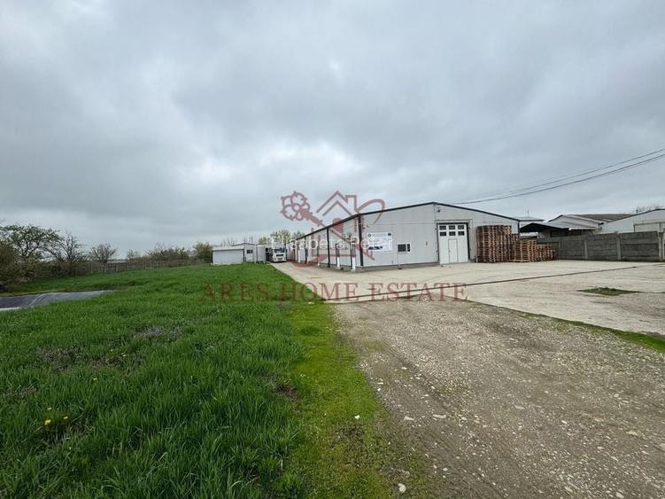 Spațiu industrial, 1200 mp în Bucovăț (Remetea Mare) Spațiu industrial, 1200 mp în Bucovăț (Remetea Mare)