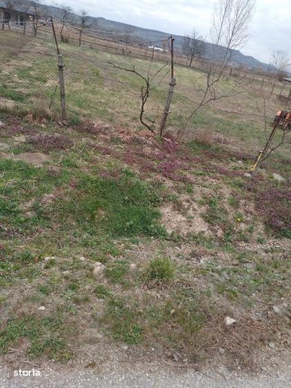 Vand teren in Simleu-Silvaniei, 1411 mp cu utilitati - 1