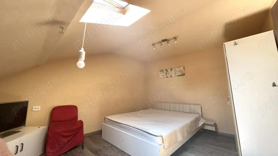 Pet Friendly Elisabetin Balcescu Maria Sinaia Medicina 2 Politehnica UVT - 1