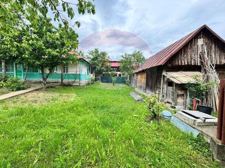 Casă traditionala cu potential de vânzare-HEMEIUS - 7