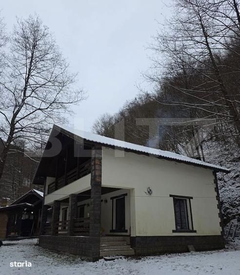 CABANA DACICA Refugiu premium la poalele Muntilor Dacici, in inima - 9