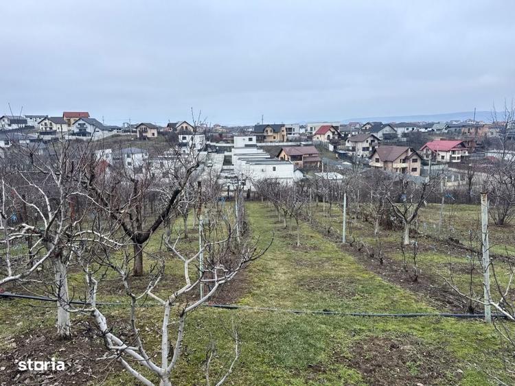 Spatiu, intimitate si verdeata langa Pitesti - Geamana | 2 case, teren - 1
