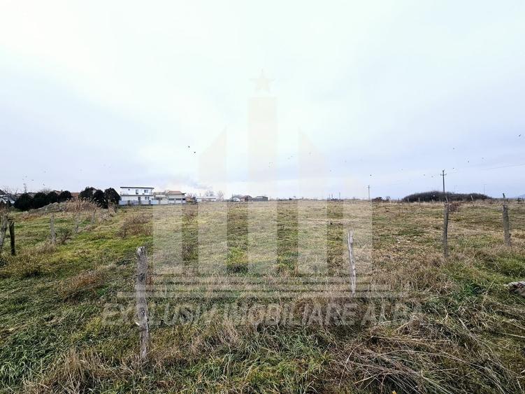 Teren intravilan | De vanzare | 5500 mp | 20 ml deschidere | Sebes - 3