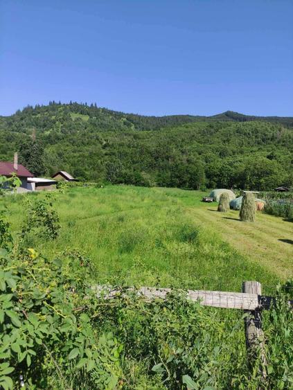 Teren de vanzare, intravilan, 1502 mp, Sat Straja Comuna Tarcau - 3