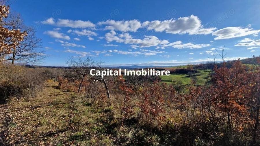 Teren de vanzare in Gro?i, Maramure?, 55 ari - 3