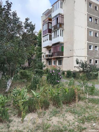 Garsoniera Vlaicu conf 1 piata agro Lebada - 8