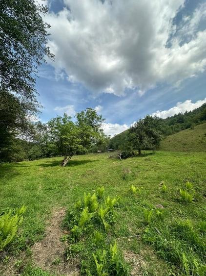 Teren 2 hectare pe Valea Ariesului, zona Scarita-Belioara, pret oportun 2 Eur/mp - 15