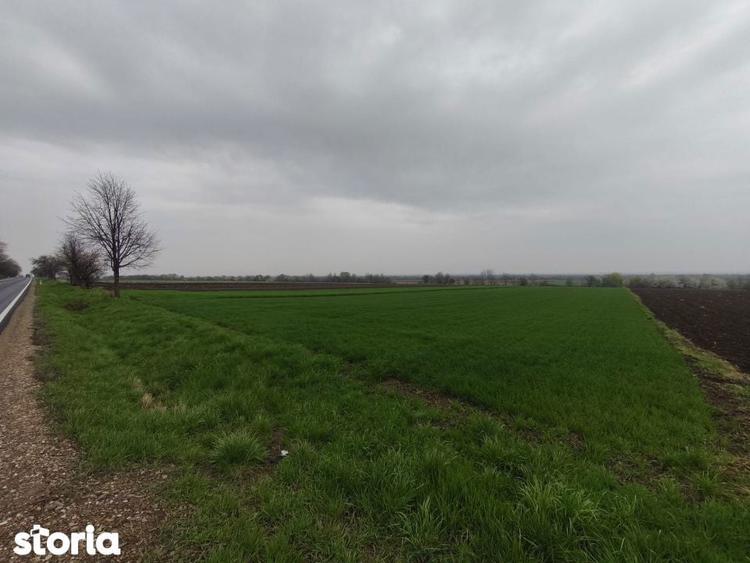 Teren 6000mp, 30 ml deschidere la DN 2H, Horodnic de Jos, Radauti - 1