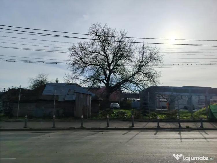 Teren de vanzare 493 mp - 3