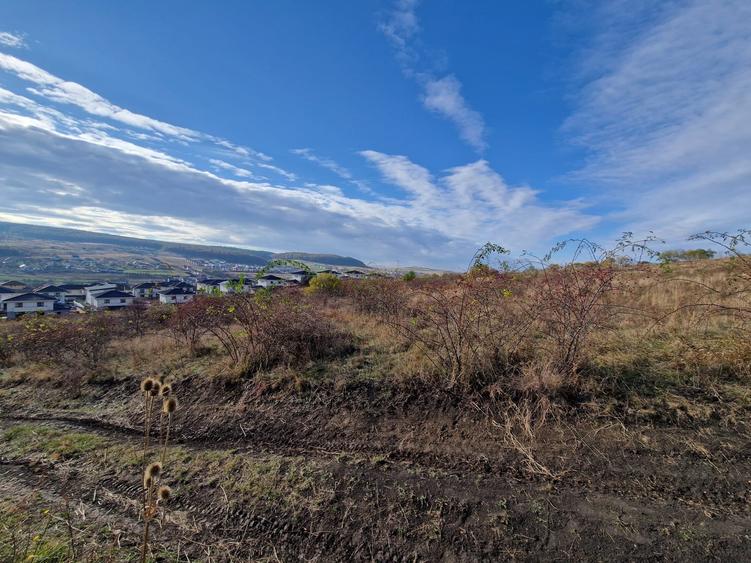 Teren Intravilan constructii 5500 mp  cu Puz In Chinteni - 4