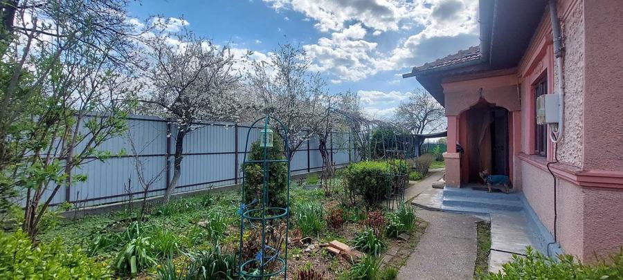 Casa 3 camere caramida, locuita in Baldana (Tartasesti) - 6