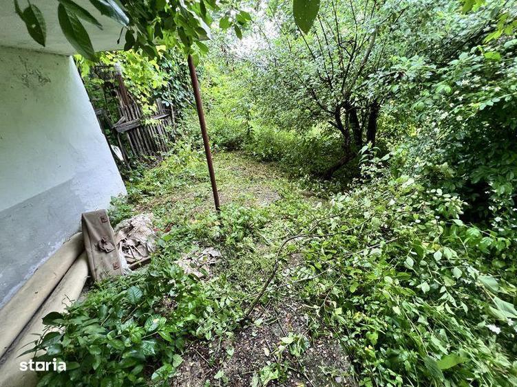 Teren si casa Provita de Jos - 6