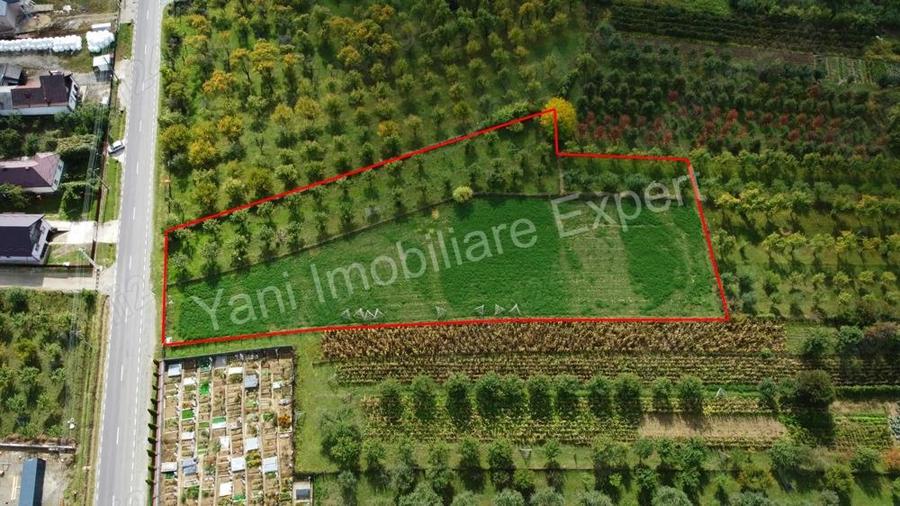 Teren de vanzare in comuna Corbeni, sat Oe?tii Pamanteni, jude? Arge?. - 11