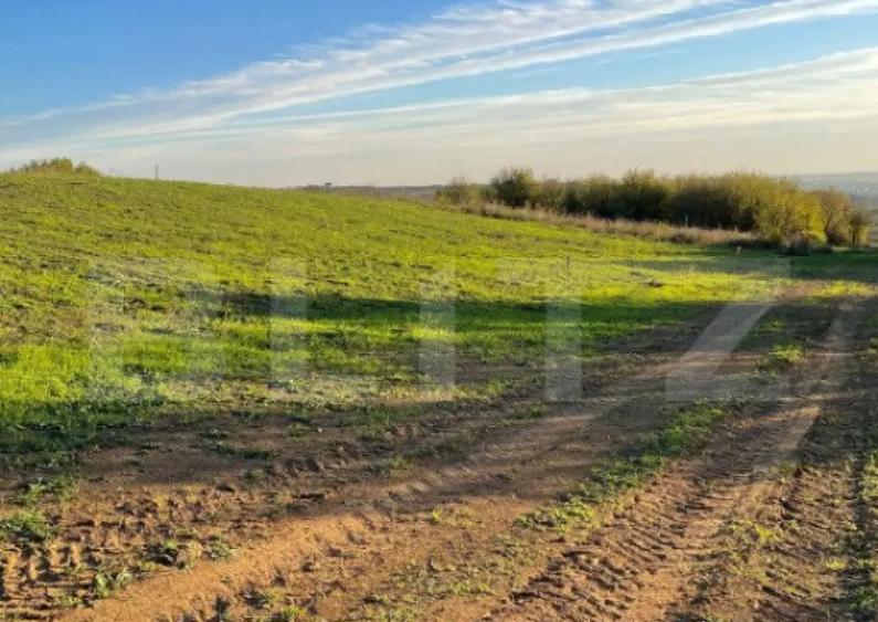 Teren Intravilan - Oradea - 4