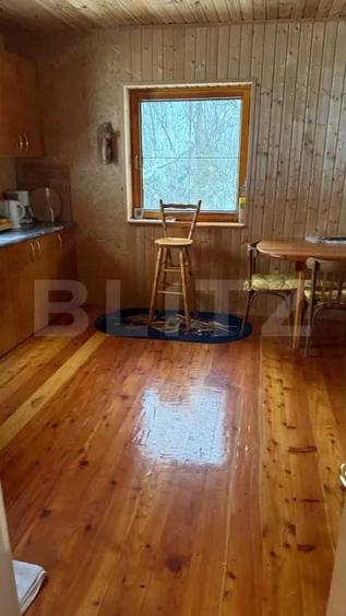 PROPRIETATE DEOSEBITA IN INIMA NATURII DESTINATIE REZIDENTIALA SAU TURISTICA - 3