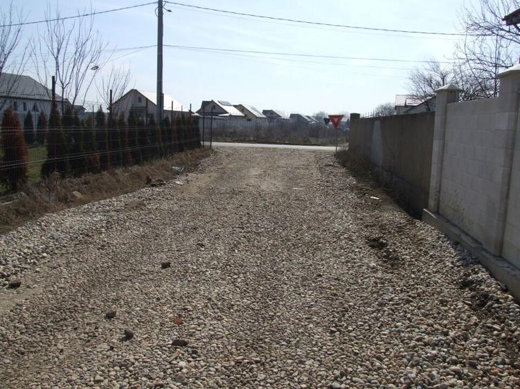 Domnesti-Ciocarliei(Afinului-Fragilor). - 1