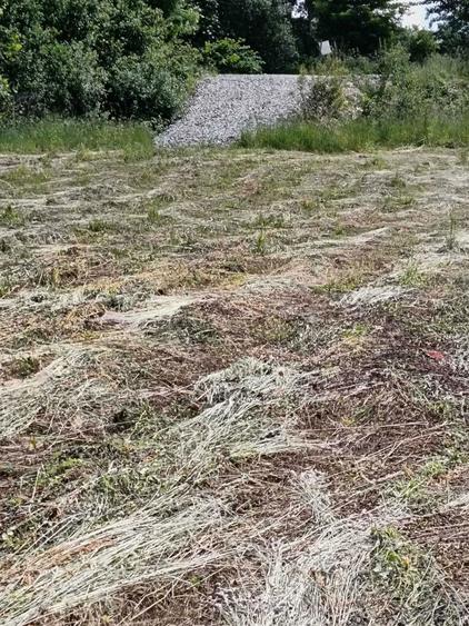 Teren de vanzare intravilan Baia Sprie - 4