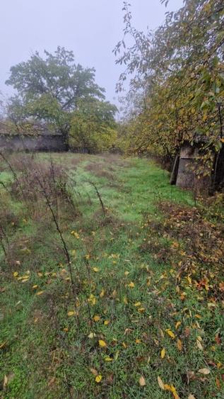 MINERI - CASA 4 CAMERE SUPRAFATA 97 MP, TEREN 3300 MP - 17