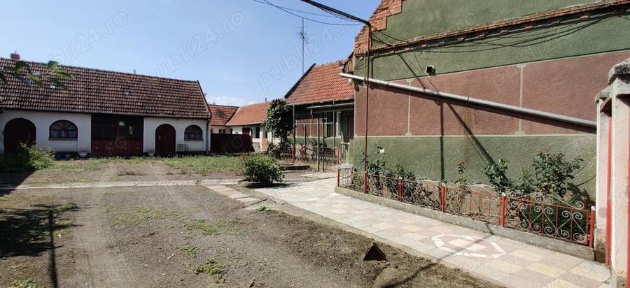 Casa gospodarie in Belint - 3