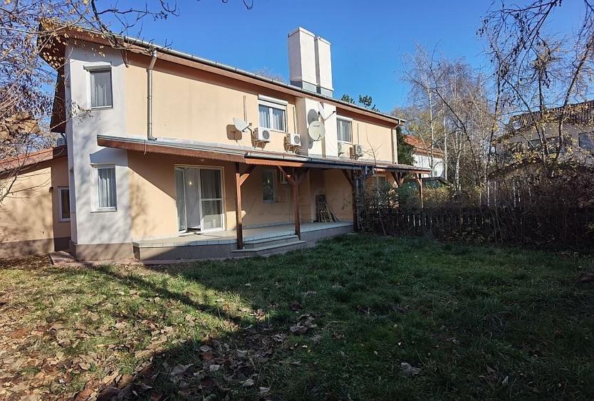 Vilă in zona Iancu Nicolae -British School - 15