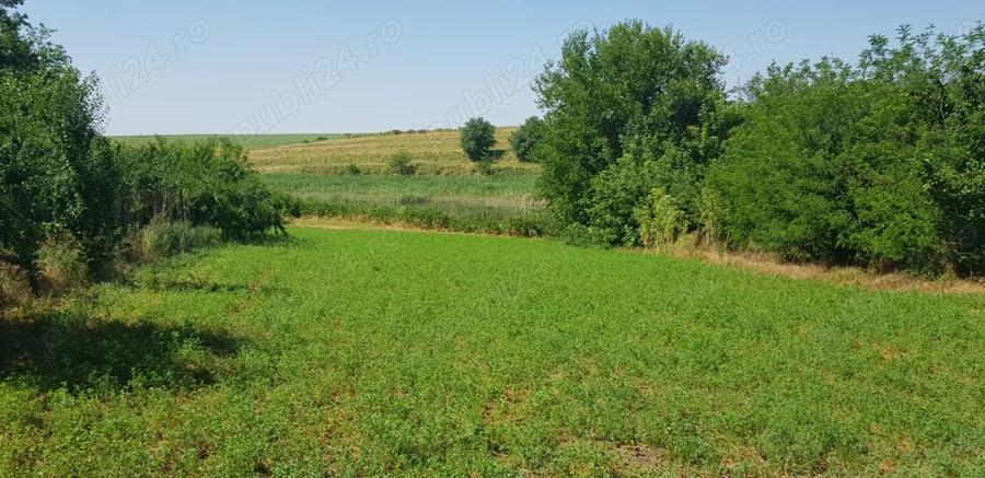 Casa de vanzare in Mihai Viteazu - 1