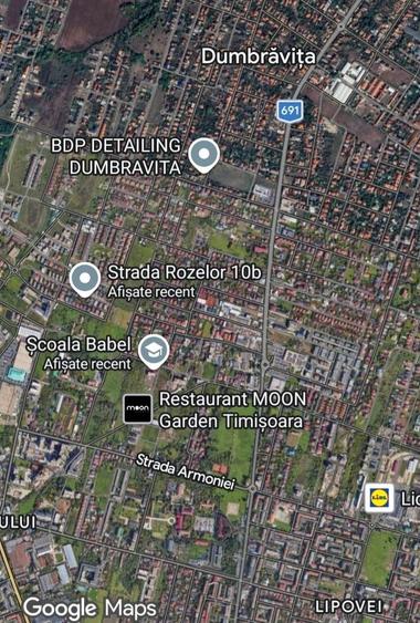 Teren duplex Dumbravita- Padurea Verde - 3