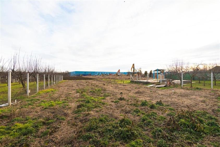 Teren intravilan cu toate utilitatile in Bors - 8