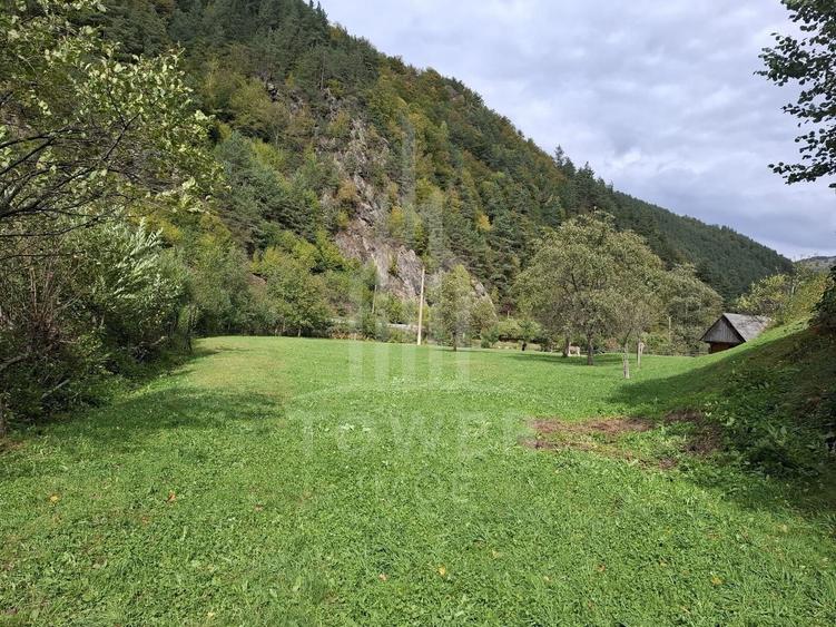 Teren Intravilan de Vânzare – 3622 mp – Râu Sadului - 1